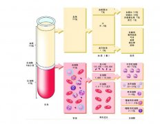 -30℃～-80℃血漿蛋白低溫冷凍庫規(guī)范，冷庫安裝價格