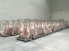 1000平牛肉冷藏庫造價多少錢，低溫凍肉冷庫建造